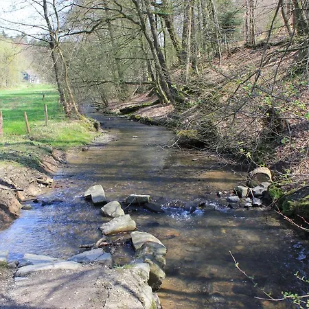 דירה Zum Eifgental ורמלסקירכן