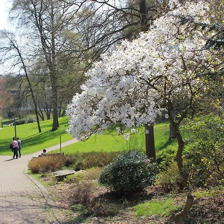 Apartamento Zum Eifgental *